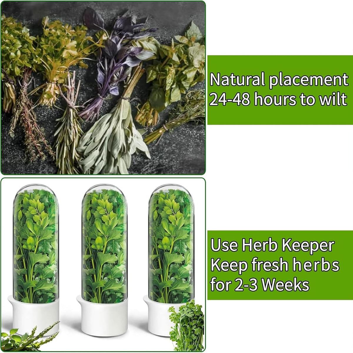 Herb Saver for Refrigerator - Herb Keeper & Cilantro Container for Fridge | Vegetable Preservation Storage Container for Cilantro, Basil, Asparagus | Extends Freshness up to 2-3 Weeks