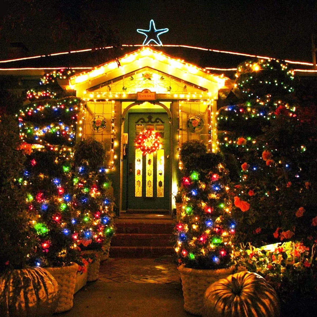 250 LED String Lights, Warm White to Multicolor Christmas Lights