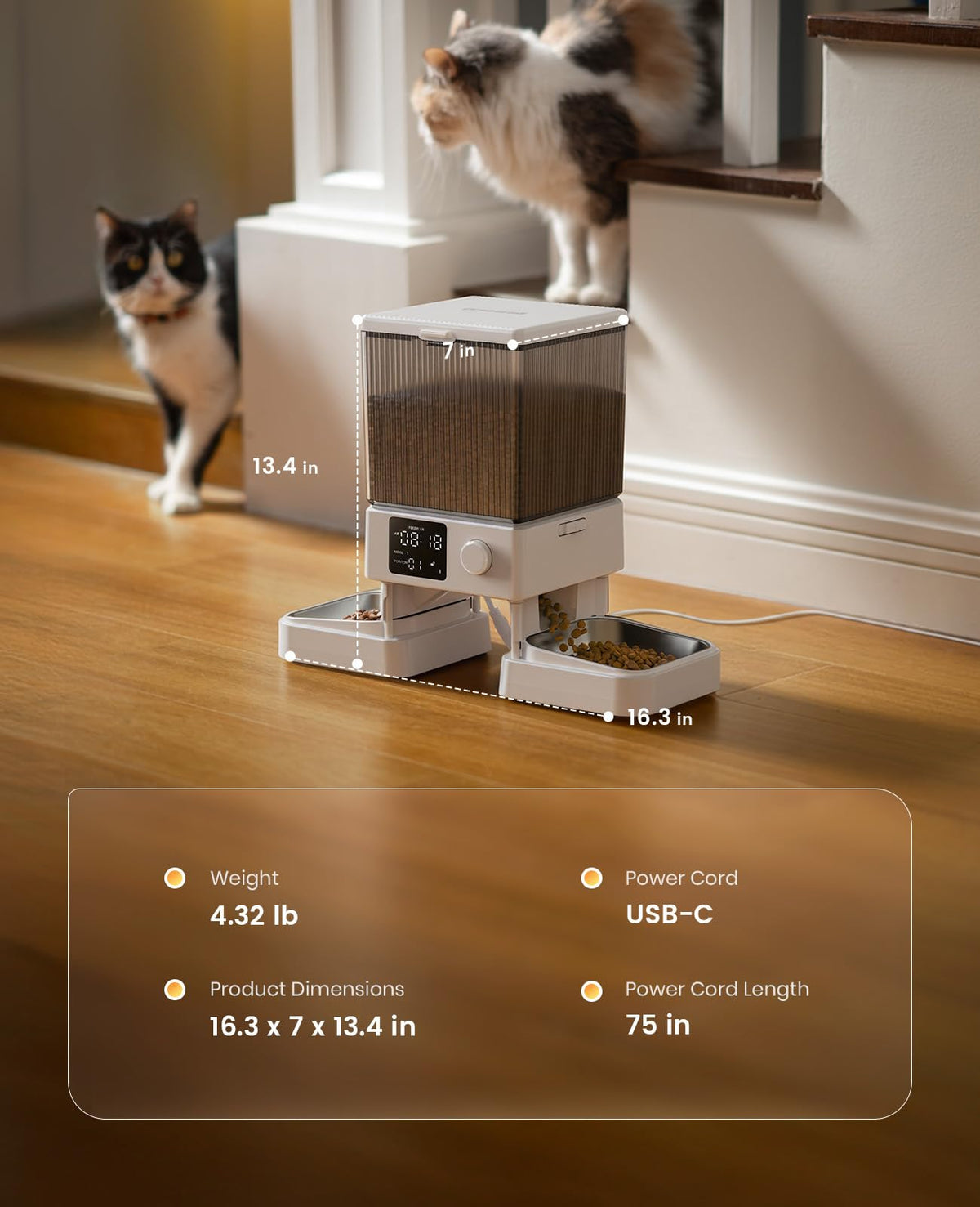 Automatic Cat Feeder for 2 Cats