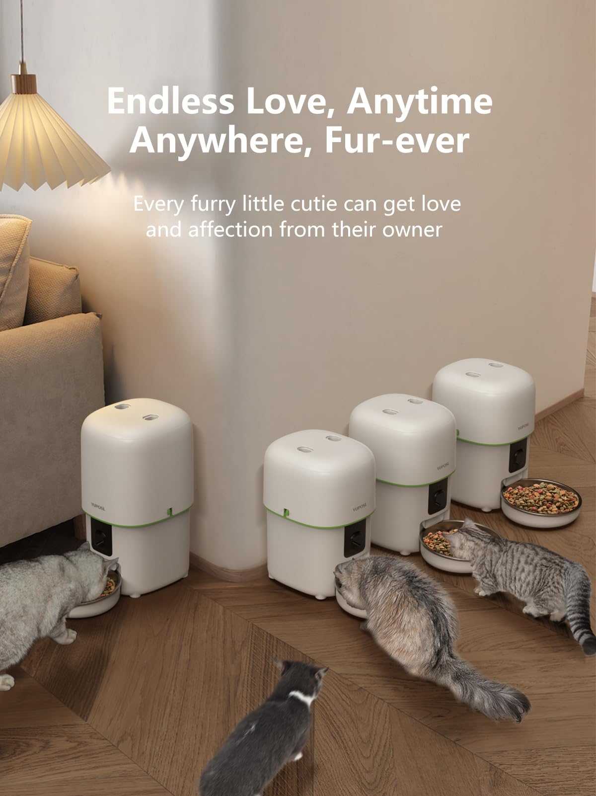 Automatic 3L Cat Feeder