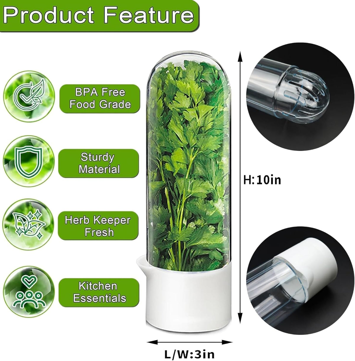 Herb Saver for Refrigerator - Herb Keeper & Cilantro Container for Fridge | Vegetable Preservation Storage Container for Cilantro, Basil, Asparagus | Extends Freshness up to 2-3 Weeks