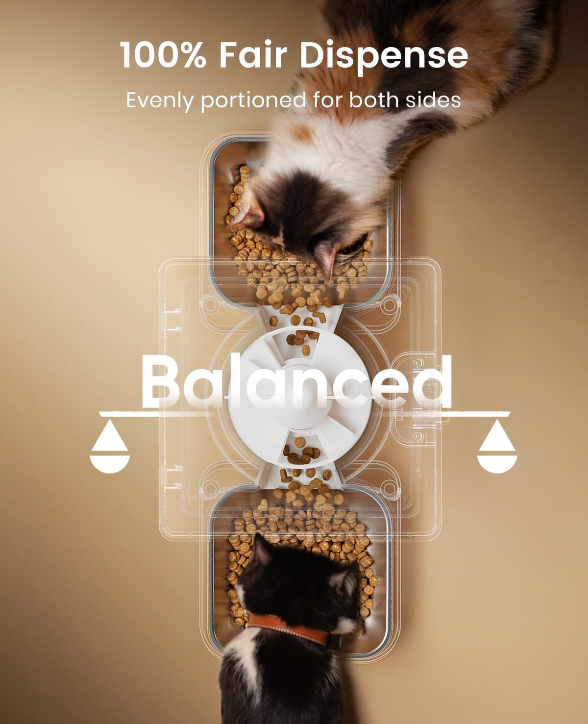 Automatic Cat Feeder for 2 Cats