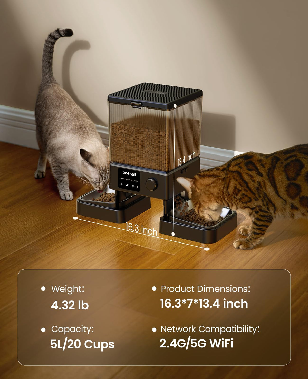 Automatic Cat Feeder for 2 Cats