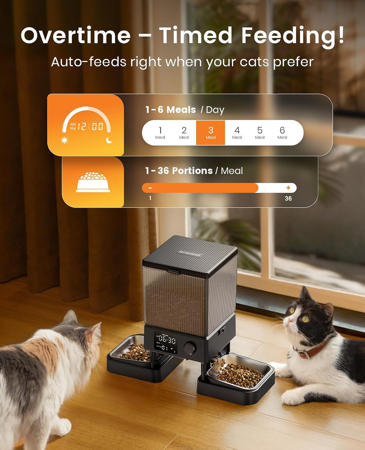 Automatic Cat Feeder for 2 Cats