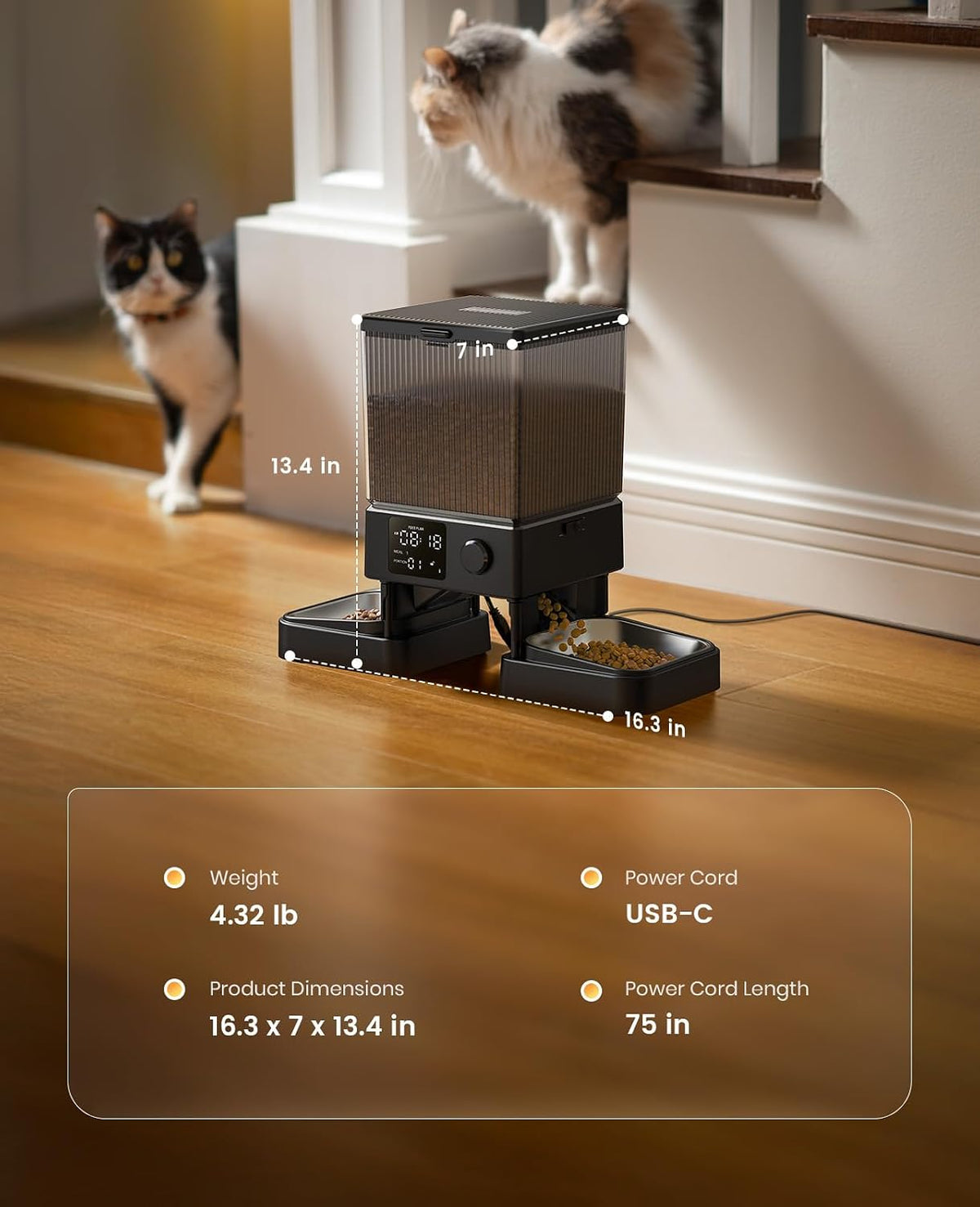 Automatic Cat Feeder for 2 Cats