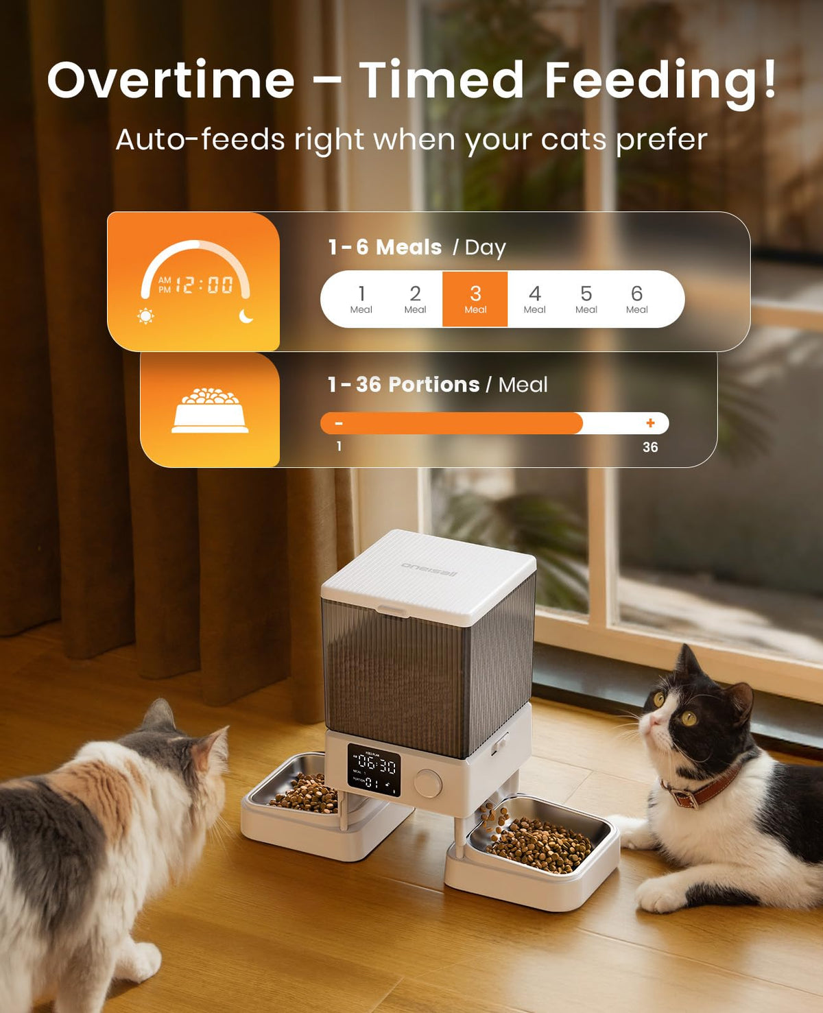 Automatic Cat Feeder for 2 Cats