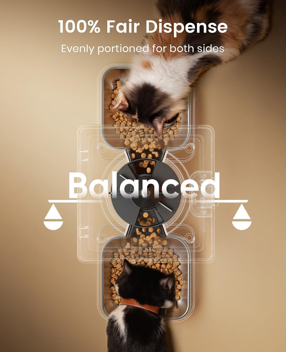 Automatic Cat Feeder for 2 Cats