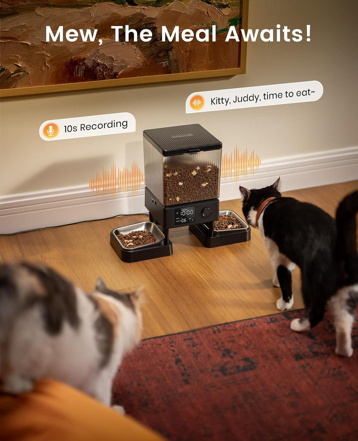 Automatic Cat Feeder for 2 Cats