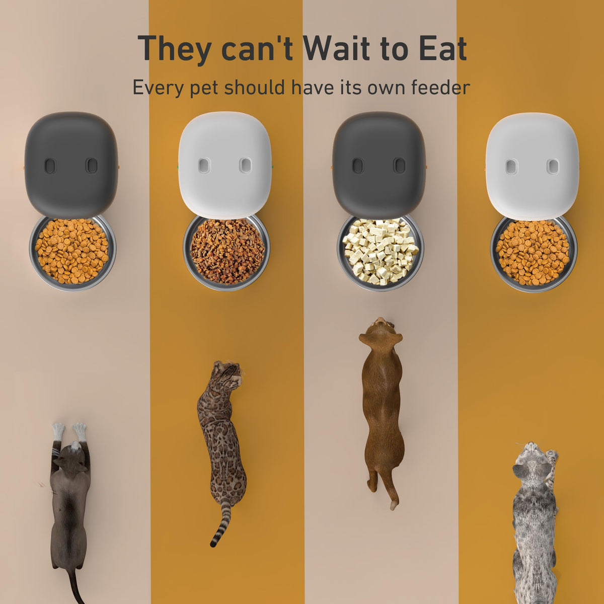 Automatic 3L Cat Feeder