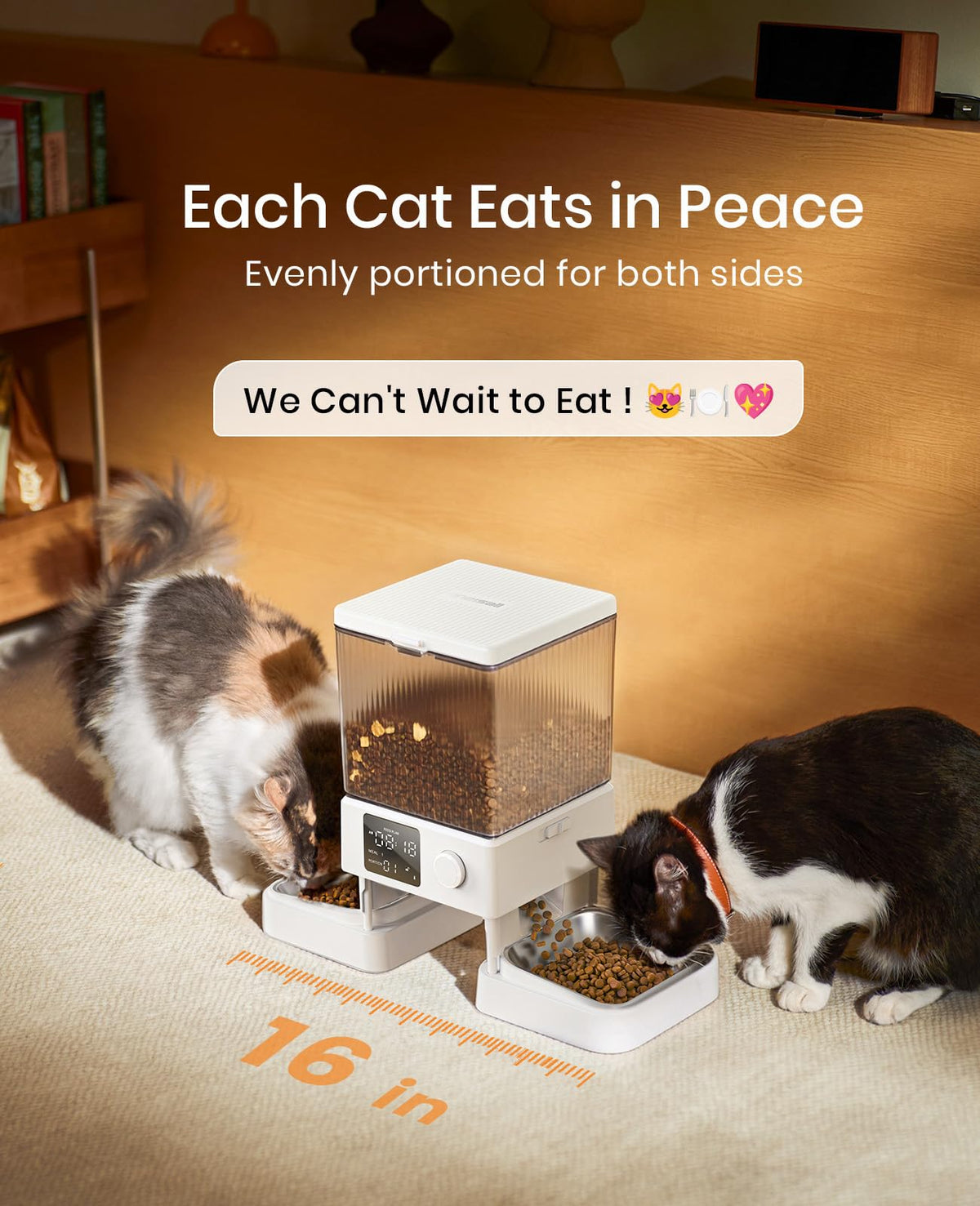Automatic Cat Feeder for 2 Cats