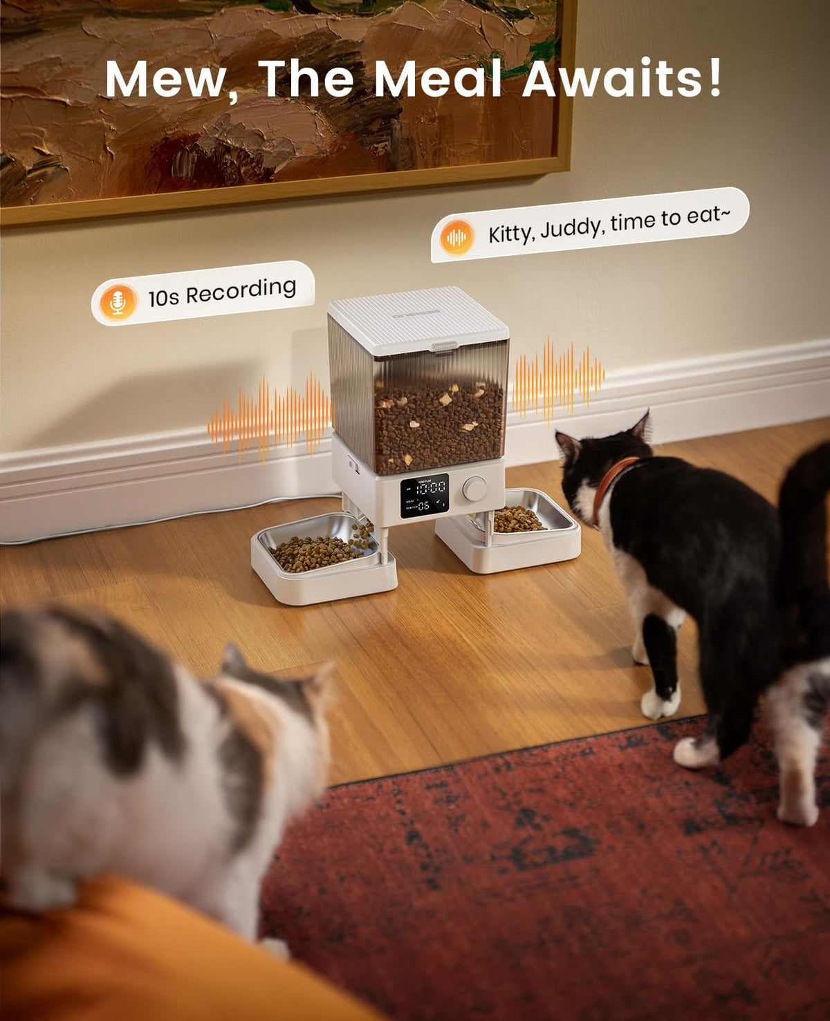 Automatic Cat Feeder for 2 Cats