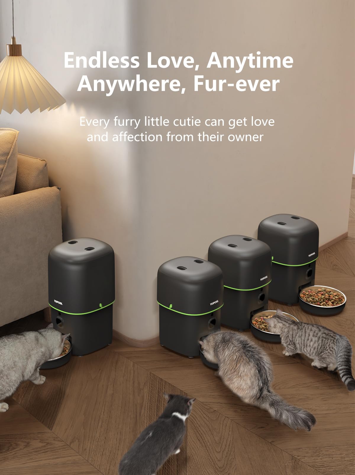 Automatic 3L Cat Feeder