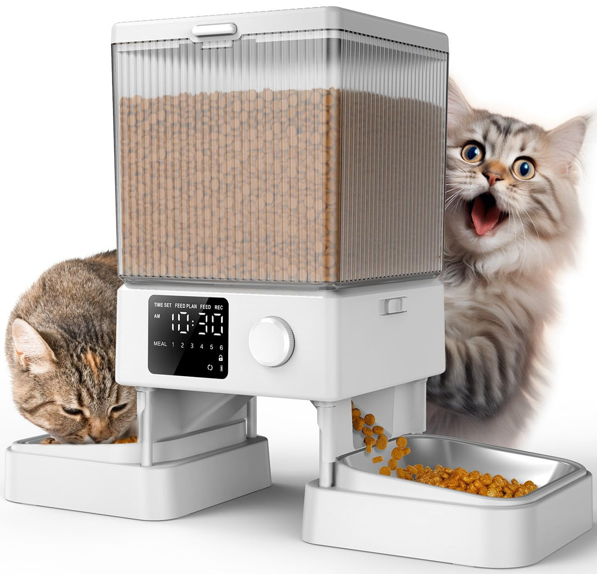 Automatic Cat Feeder for 2 Cats