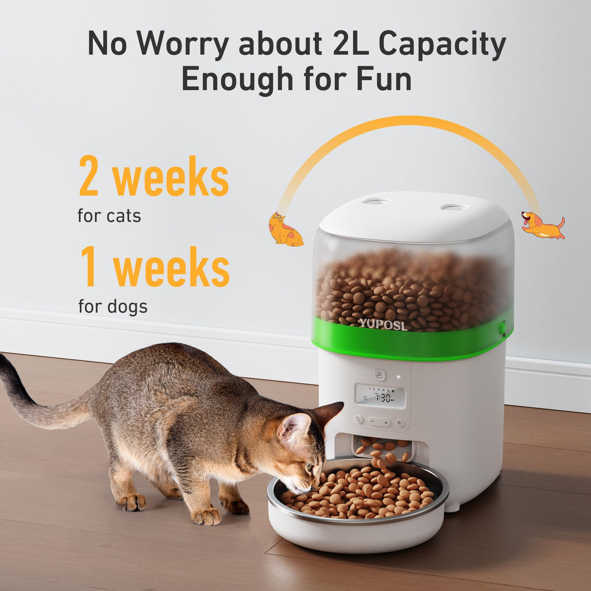 Automatic 3L Cat Feeder