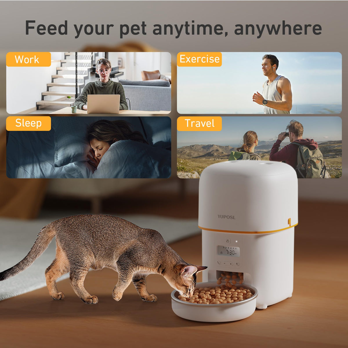 Automatic 3L Cat Feeder