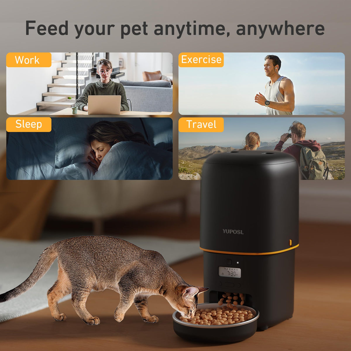 Automatic 3L Cat Feeder