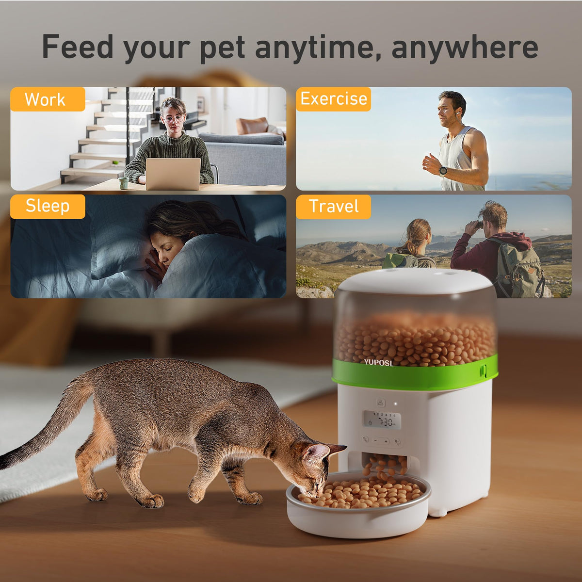 Automatic 3L Cat Feeder