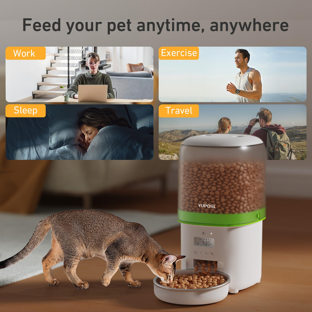 Automatic 3L Cat Feeder