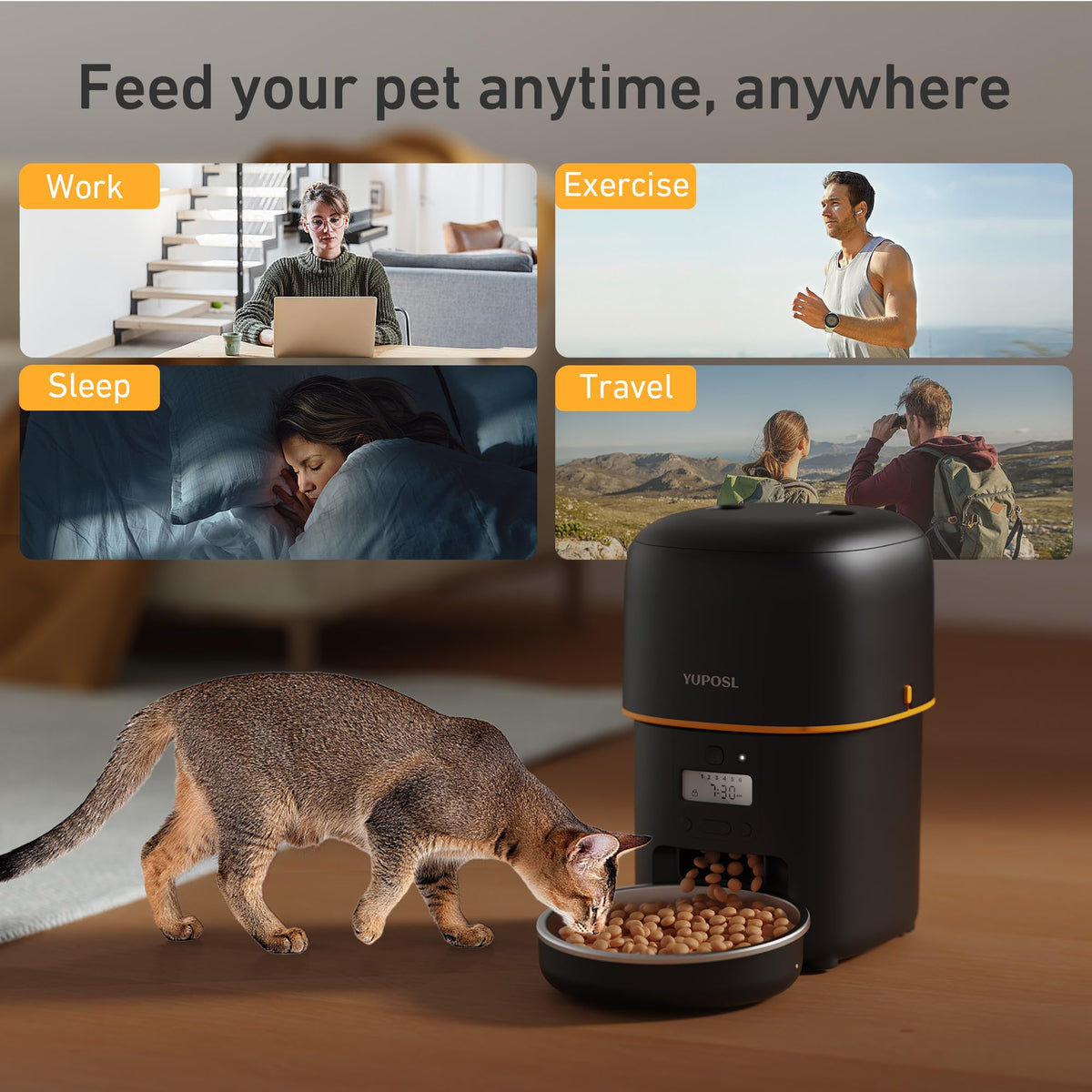 Automatic 3L Cat Feeder