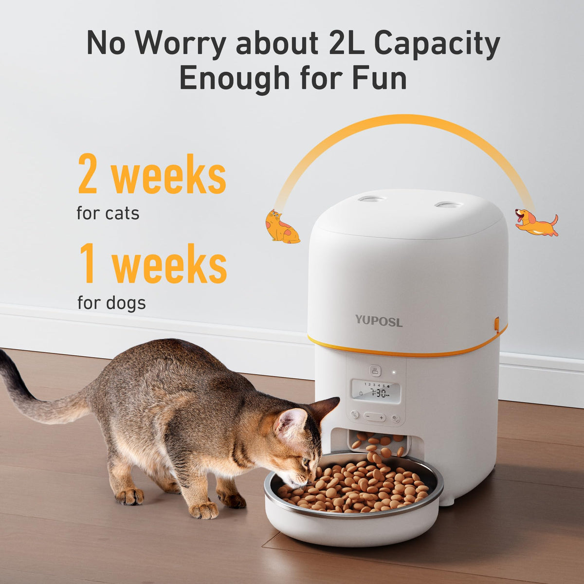 Automatic 3L Cat Feeder