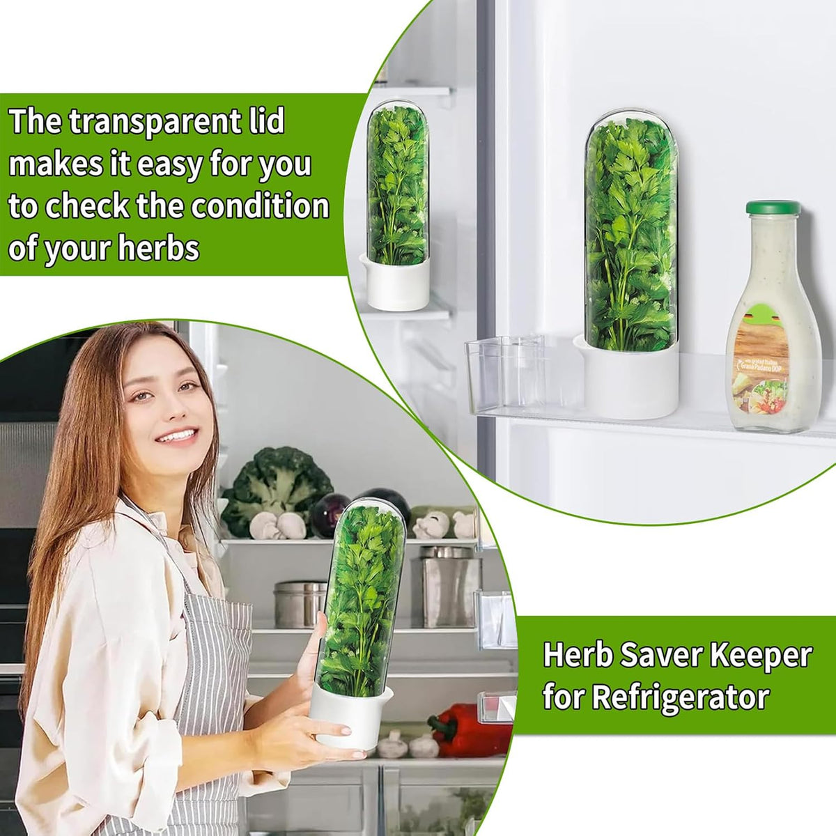 Herb Saver for Refrigerator - Herb Keeper & Cilantro Container for Fridge | Vegetable Preservation Storage Container for Cilantro, Basil, Asparagus | Extends Freshness up to 2-3 Weeks