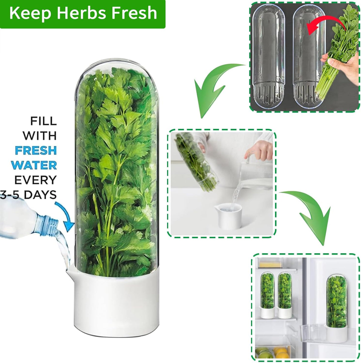 Herb Saver for Refrigerator - Herb Keeper & Cilantro Container for Fridge | Vegetable Preservation Storage Container for Cilantro, Basil, Asparagus | Extends Freshness up to 2-3 Weeks
